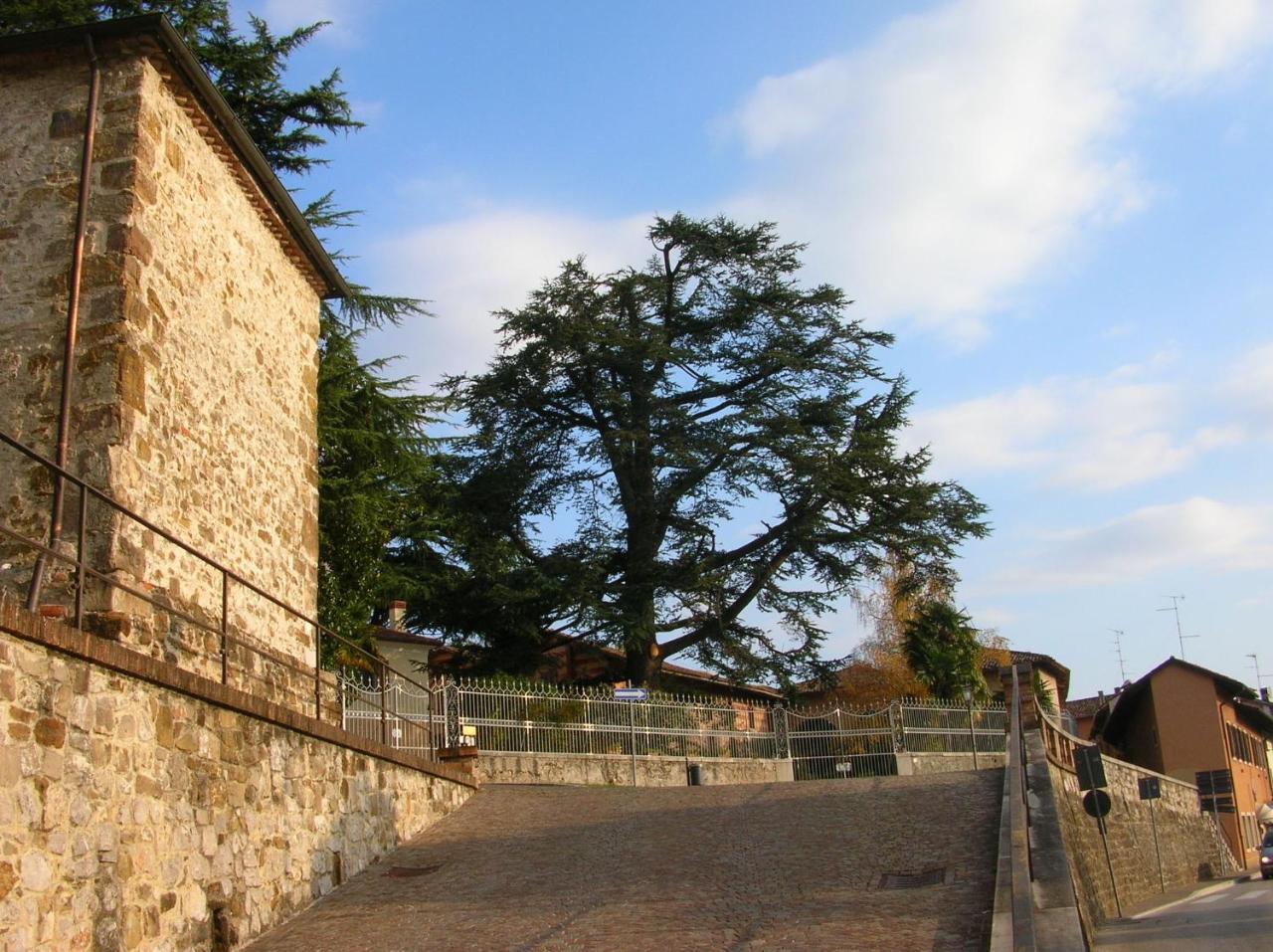 Bed and Breakfast Antica Scuderia Buttrio Exterior foto